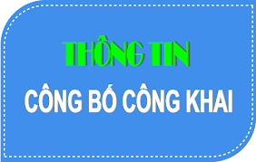 BÁO CÁO CÔNG KHAI THEO TT09 CHO NĂM HỌC 2024-2025